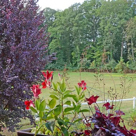 Bed and breakfast Domaine De La Mesange 3*