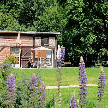 Domaine De La Mesange Bed and breakfast Le Mesnil-Durand